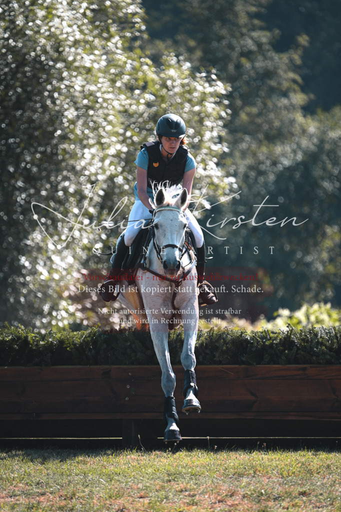 DSC_7966 | Pferde- und Turnierfotografie in Westsachsen. Pferdeportraits, Auftragszeichnungen und intuitive Kunst.