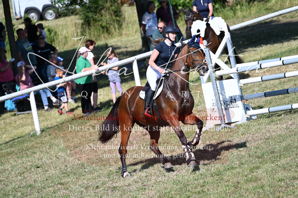 DSC_2091 | Pferde- und Turnierfotografie in Westsachsen. Pferdeportraits, Auftragszeichnungen und intuitive Kunst.