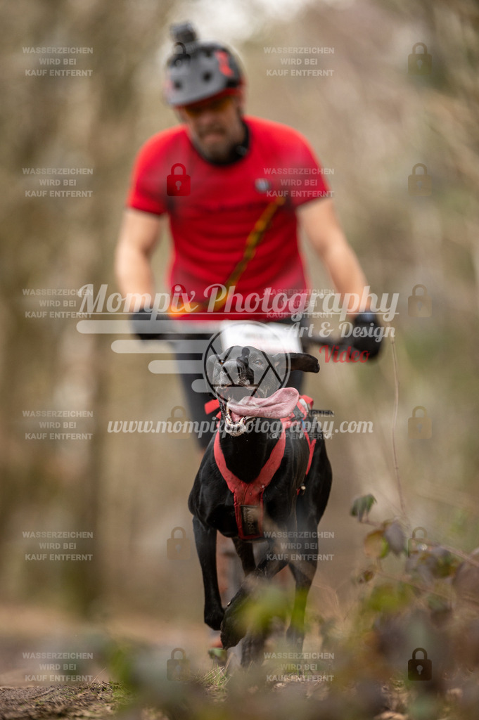 SPA_2023_SAM_Scooter-28 | PayLife