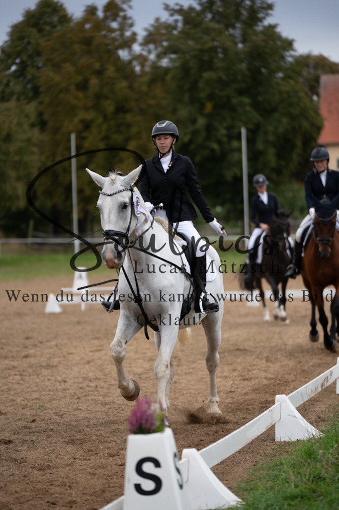 A7V05446 | Pferdefotograf