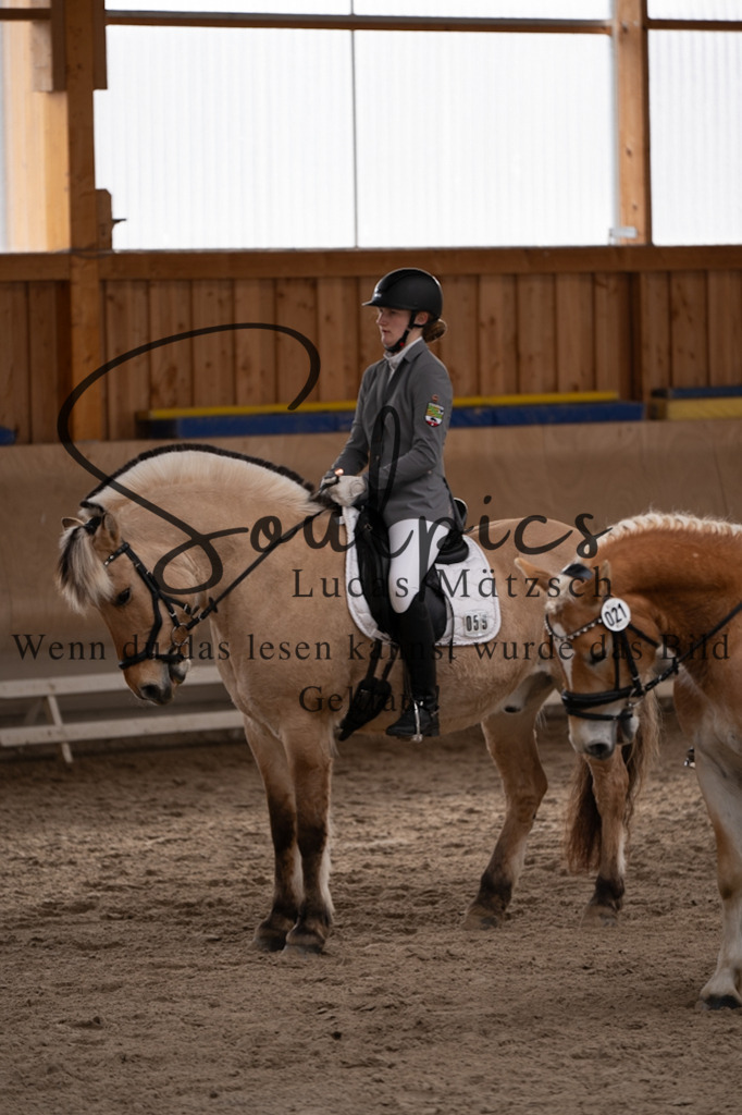 A7V09423 | Pferdefotograf