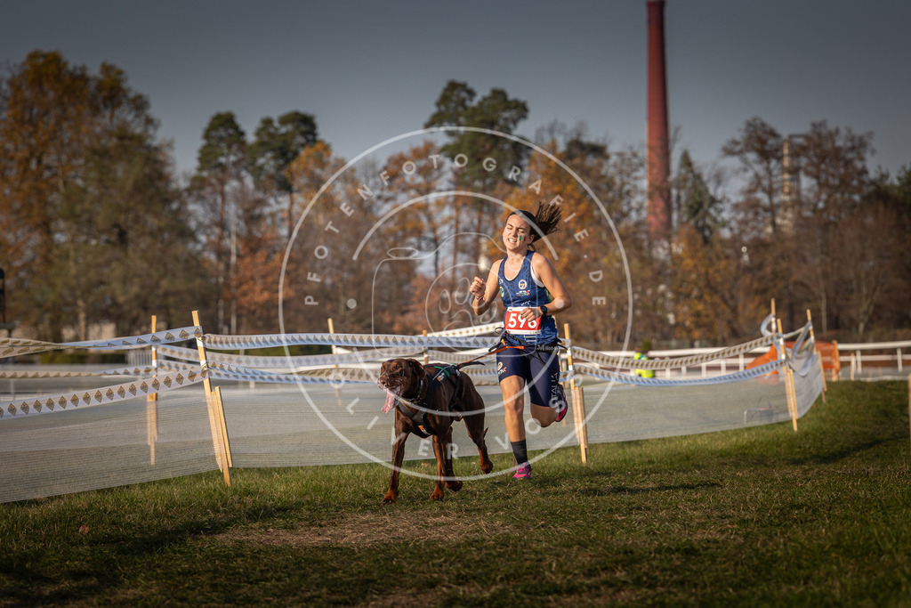 CaniXpix_0L8A0051 | Hundefotografie, Tierfotograf, Pfotenfotografie, Fotoshooting Hund, Hunde Portrait, Hundesport, Hundeportraits, Heideshooting, Hunde, Sportfotograf, Hundefotograf, Turnierhundsport, THS,  - Realisiert mit Pictrs.com