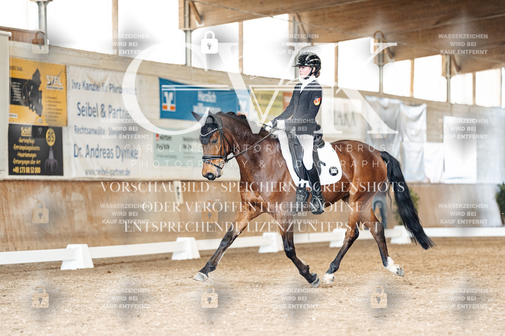 CK901460 | Turnierfotografie Pferdefotografie Trier Rheinland-Pfalz Pferdesport Reitsport Tierfotografie Sportfotografie Pferdevideo Pferdevideografie Equestrianvideography equestrianphotography  - Realisiert mit Pictrs.com