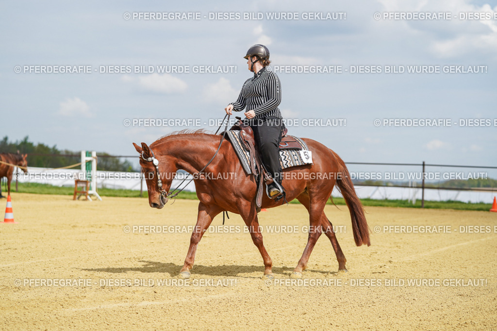 DSC05562 | Pferdegrafie