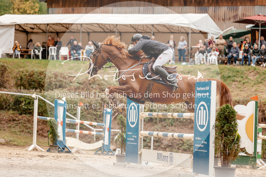 3I6A8717 | Stimmungsvolle Portraits und Reitsportfotografie im Ruhrgebiet und im Münsterland.

Pferdefotografie, Hundefotografie, Tierfotografie, Reportagen, Portraits von Tier und Mensch, Turnierfotografie in Bochum, Recklinghausen, Marl, Haltern am See, Dülmen.. - Realisiert mit Pictrs.com