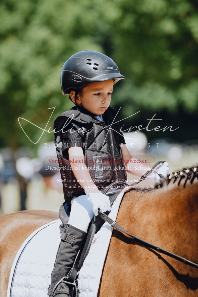 DSC_2407 | Pferde- und Turnierfotografie in Westsachsen. Pferdeportraits, Auftragszeichnungen und intuitive Kunst.