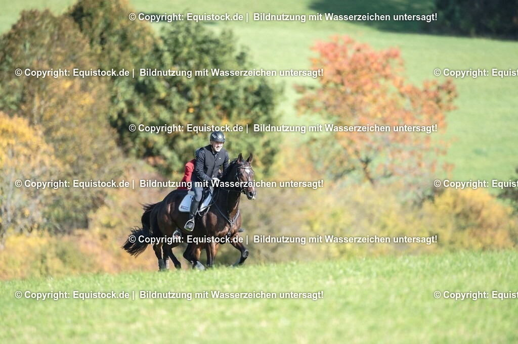 20251011_Jagd-Marbach_0336 | Foto: Thomas Hartig