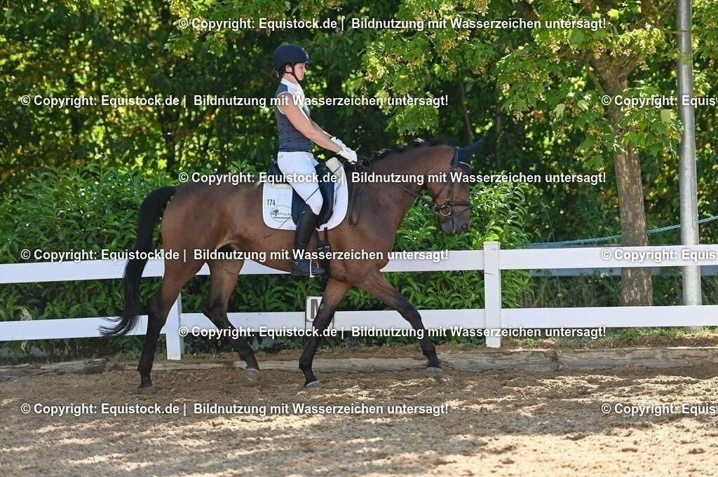 20230715_06_Dressurpferdeprfg. Kl.A_0391 | equistock