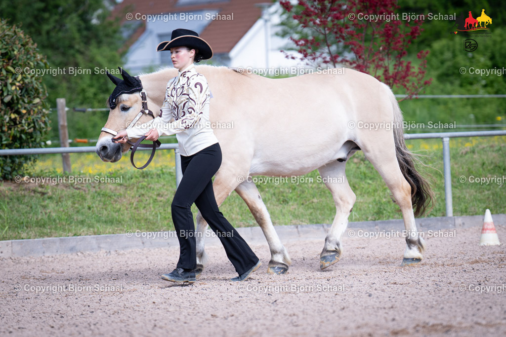 LMB07304 | BS-foto