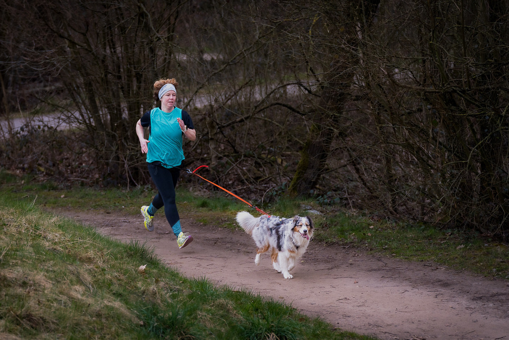 allesWIRTHgut Tierfotografie - 7IV06593 | Professionelle Tierfotografie in Mönchengladbach von Daniel Wirth (allesWIRTHgut). Liebevolle & natürliche Bilder von Hunden & Katzen für unvergessliche Erinnerungen.