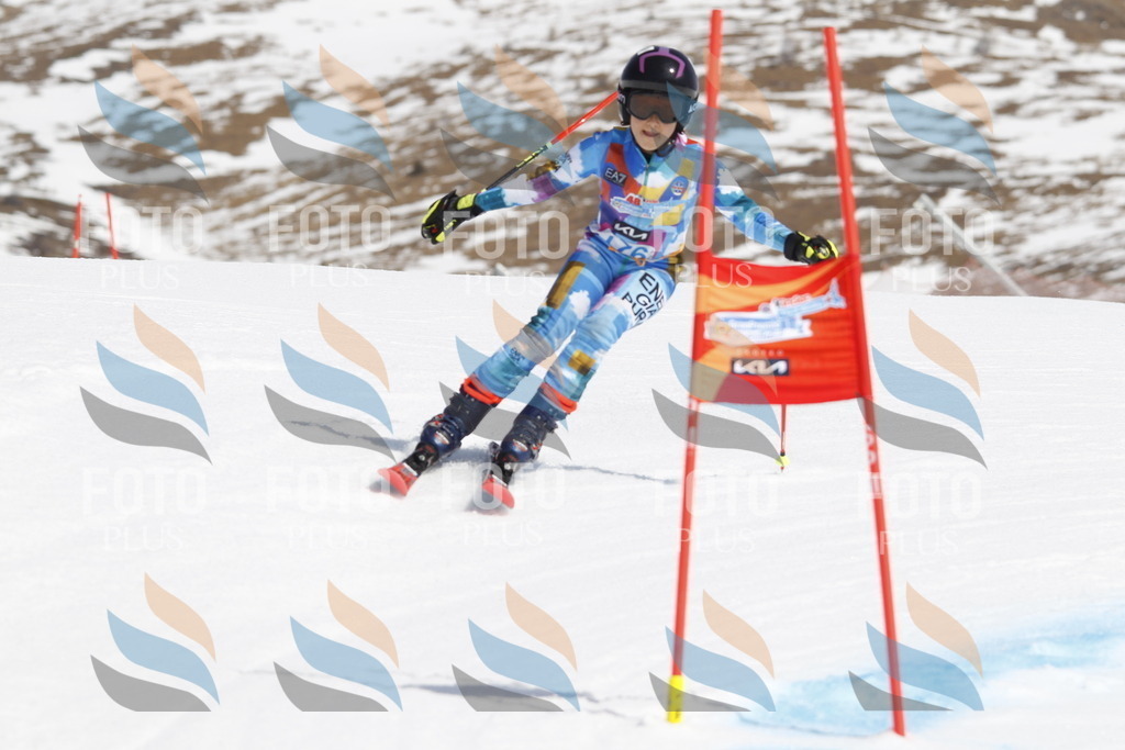 _U3G1659 | holidayphoto