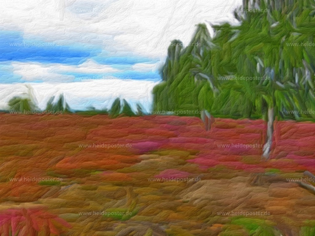 brushed_IMG_8249-b | Poster aus der Lüneburger Heide - Realisiert mit Pictrs.com