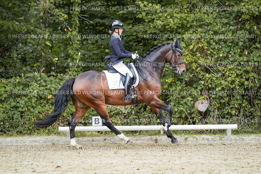 DSC06543 | Pferdegrafie