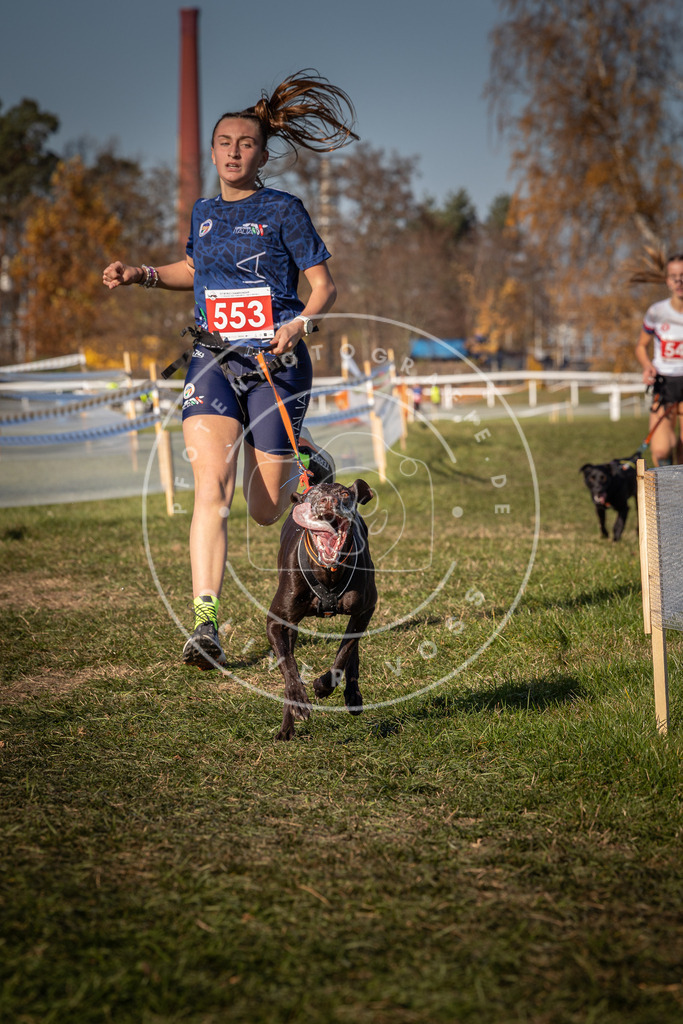 CaniXpix_0L8A7695 | Hundefotografie, Tierfotograf, Pfotenfotografie, Fotoshooting Hund, Hunde Portrait, Hundesport, Hundeportraits, Heideshooting, Hunde, Sportfotograf, Hundefotograf, Turnierhundsport, THS,  - Realisiert mit Pictrs.com