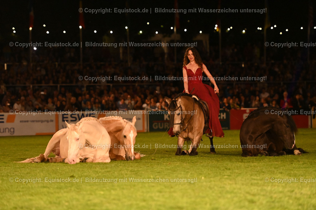 20230526_Pferdenacht_1544 | equistock
