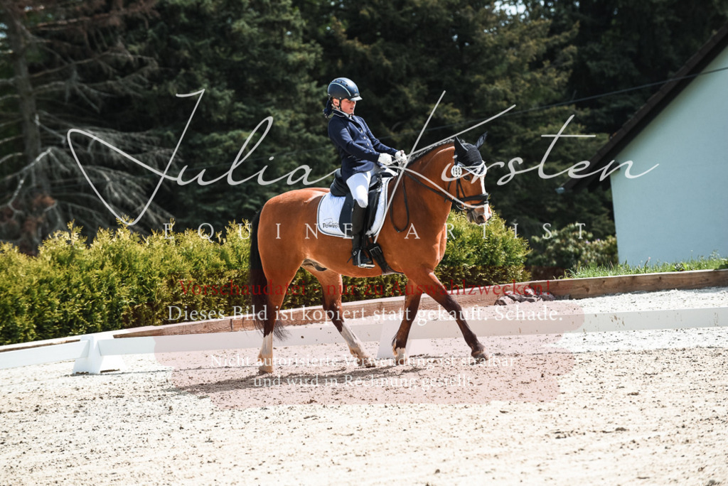 20230518_JK-Röhrsdorf-11-0620 | Pferde- und Turnierfotografie in Westsachsen. Pferdeportraits, Auftragszeichnungen und intuitive Kunst.