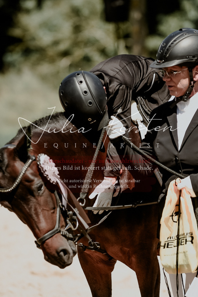 DSC_1939 | Pferde- und Turnierfotografie in Westsachsen. Pferdeportraits, Auftragszeichnungen und intuitive Kunst.