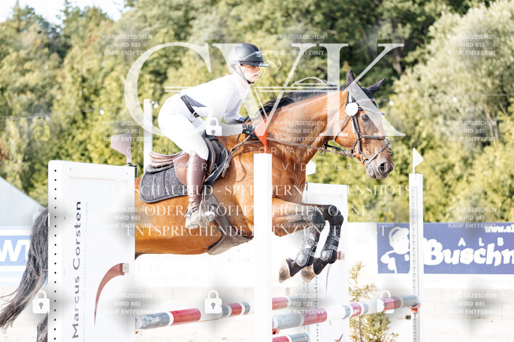 CK906662 | Turnierfotografie Pferdefotografie Trier Rheinland-Pfalz Pferdesport Reitsport Tierfotografie Sportfotografie Pferdevideo Pferdevideografie Equestrianvideography equestrianphotography  - Realisiert mit Pictrs.com