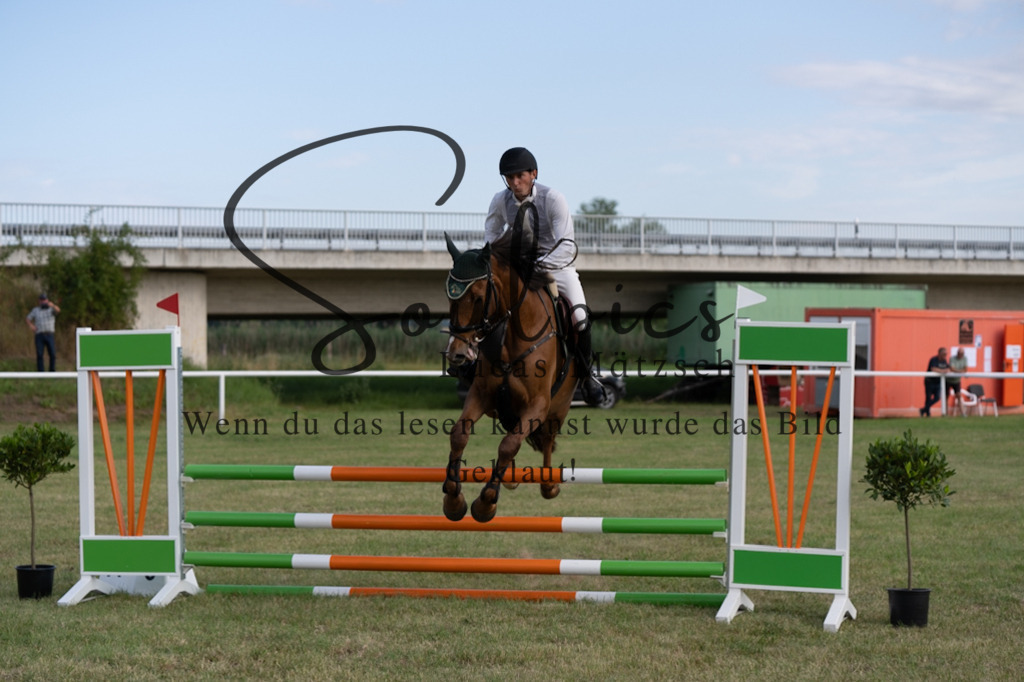 A7V01237 | Pferdefotograf