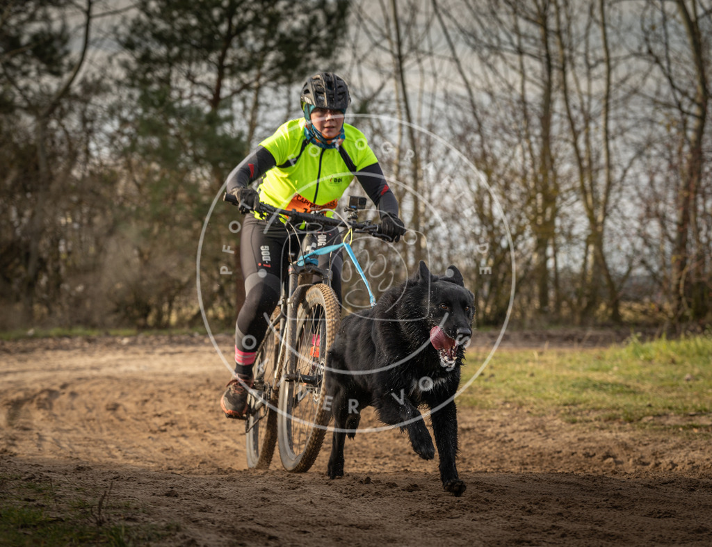 Pfotenfotografie_DV3A8678 | Hundefotografie, Tierfotograf, Pfotenfotografie, Fotoshooting Hund, Hunde Portrait, Hundesport, Hundeportraits, Heideshooting, Hunde, Sportfotograf, Hundefotograf, Turnierhundsport, THS,  - Realisiert mit Pictrs.com