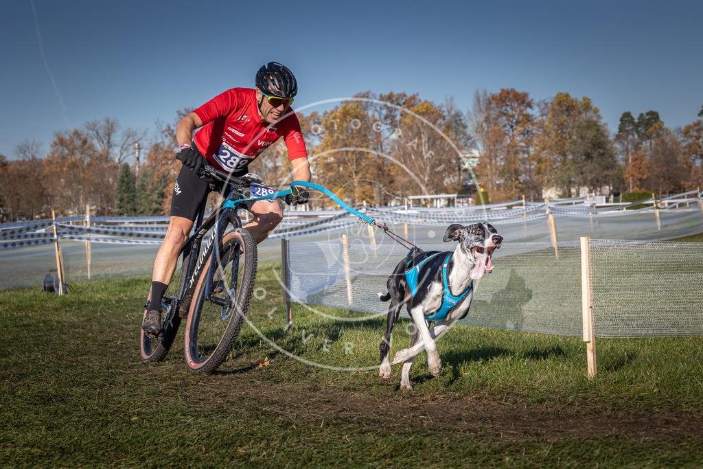 CaniXpix_0L8A5352 | Hundefotografie, Tierfotograf, Pfotenfotografie, Fotoshooting Hund, Hunde Portrait, Hundesport, Hundeportraits, Heideshooting, Hunde, Sportfotograf, Hundefotograf, Turnierhundsport, THS,  - Realisiert mit Pictrs.com