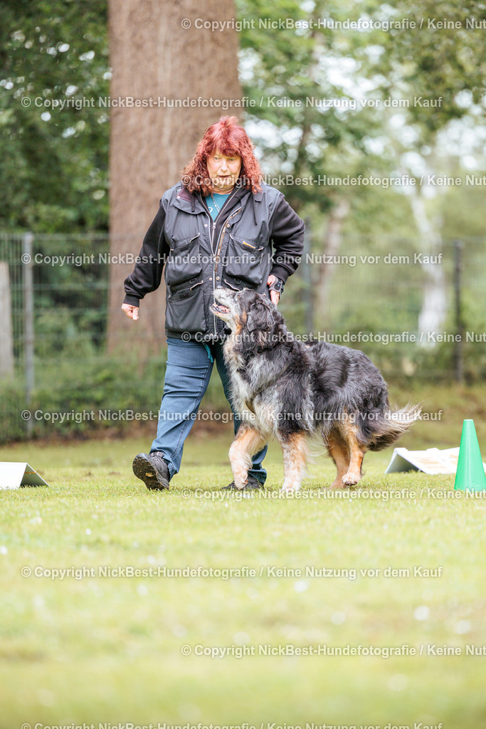 RO-Blumenthal-2026-Nickbest-Hundefotografie-1871 | Dein Hund! Dein Moment! Deine Erinnerungen! Hundefotografie in Bremen Blumenthal. Ich fange die besonderen Momente deines Vierbeiners ein – ob Indoor mit Blitzanlage oder in der freien Natur. Sicher dir dein Moment und dein Termin für eure Erinnerungen.