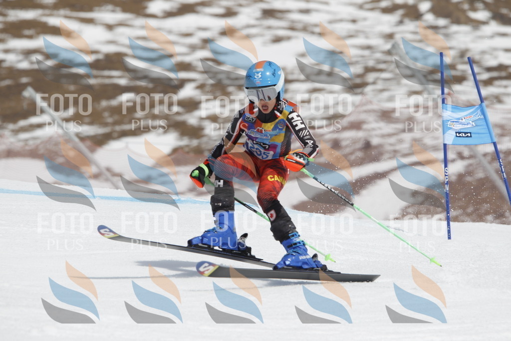 _U3G2592 | holidayphoto