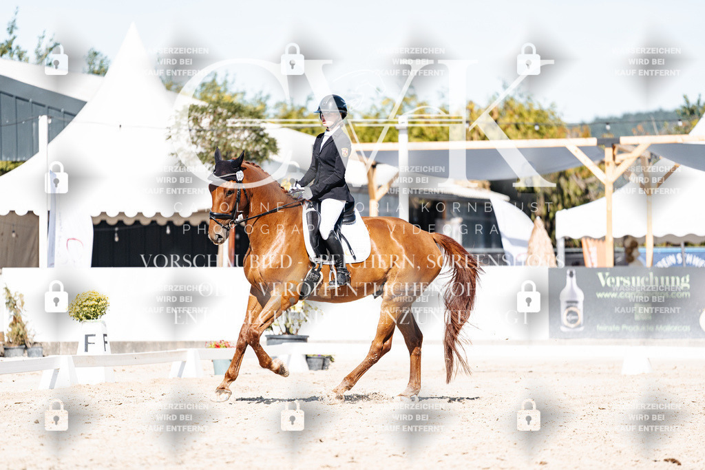 CK908687 | Turnierfotografie Pferdefotografie Trier Rheinland-Pfalz Pferdesport Reitsport Tierfotografie Sportfotografie Pferdevideo Pferdevideografie Equestrianvideography equestrianphotography  - Realisiert mit Pictrs.com