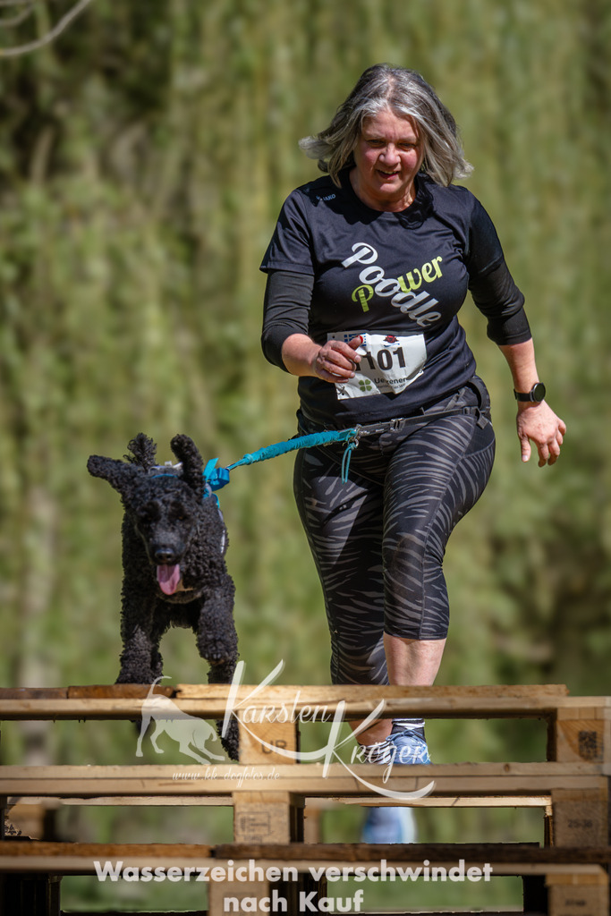 1034_ZZ95611 | kk-dogfotos