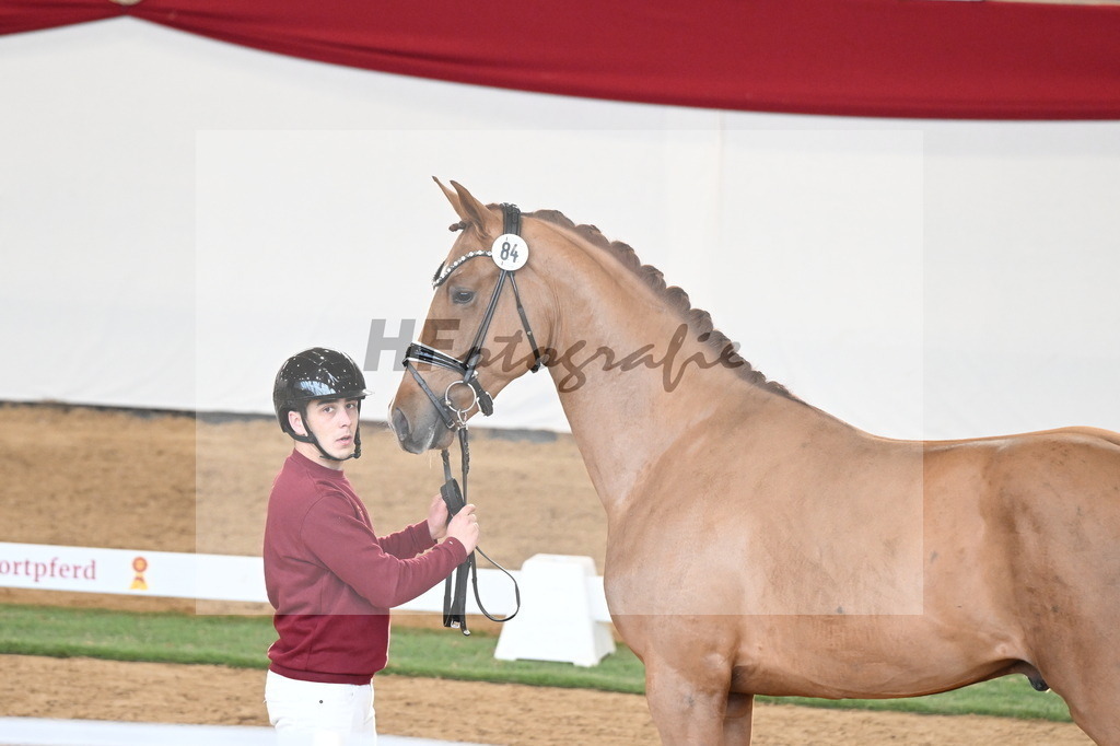 Kat.-Nr. 84 v. Vaderland_van den Oetelaar_2250802 | hf-fotografie - Realisiert mit Pictrs.com