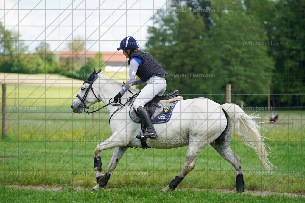 20240518-FAH04067 | Turnierbilder von Niederseon, Turnierfotografen Bayern, Fotoagentur Herrmann, Geländebilder, Reitsportfotografie