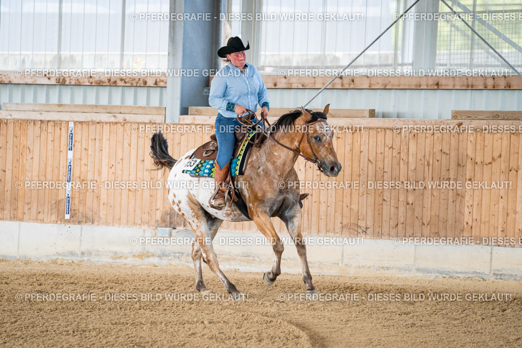 DSC02112 | Pferdegrafie