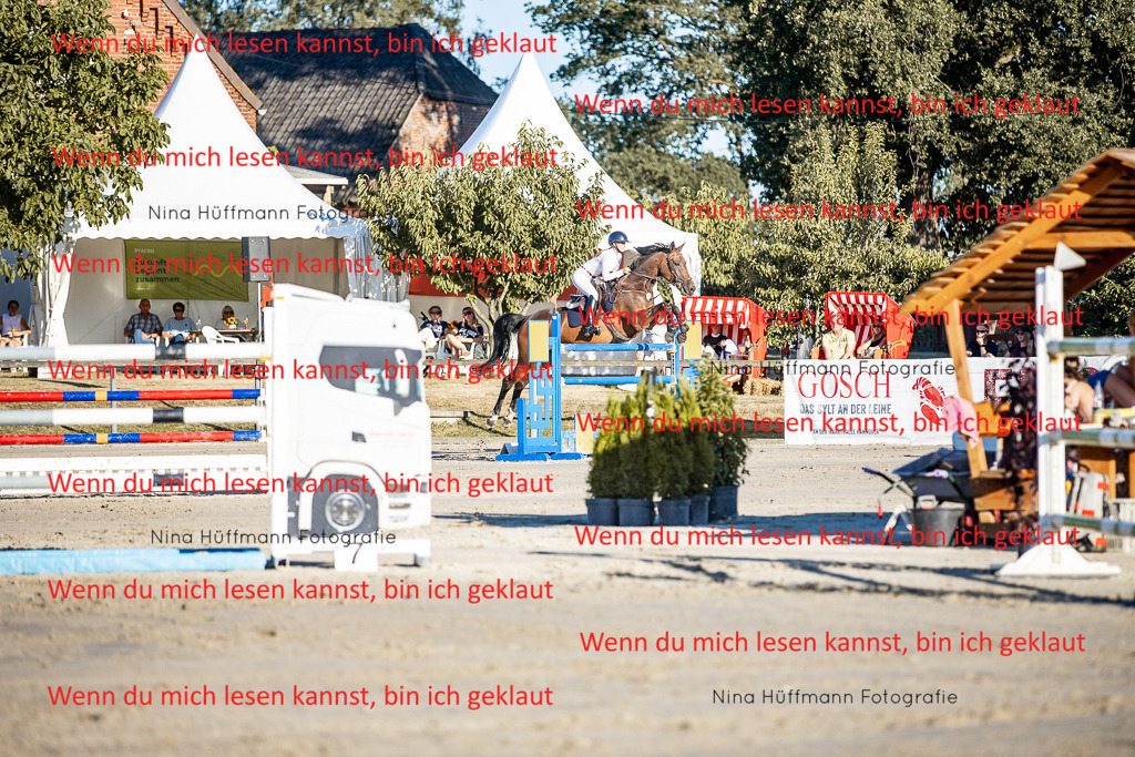 BK1A8406 | Turnierbilder Turnierfotos Nina Hüffmann Turnierfotografie Pferdefotografie Tierzeichnung Haustierzeichnung Pferdezeichnung Hundezeichnung Videograf  - Realisiert mit Pictrs.com