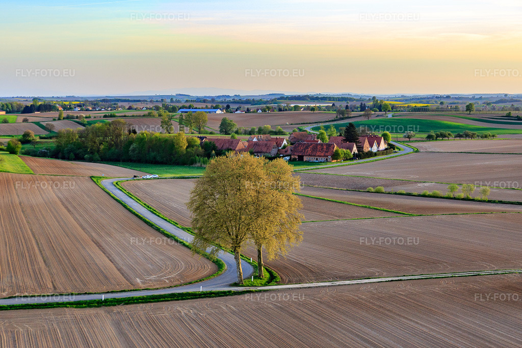 Vue aérienne: Rue de Seebach avec deux platanes en face du quartier de Frohnackerhof à Seebach dans le département Bas Rhin, France – .Photo: IMG_078027.jpg prise le 24/04/2015 par Werner Riehm/FLY-FOTO.eu – Résolution de l'original: 5141 x 3427 px