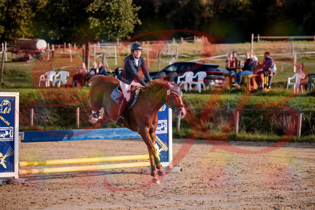 2026_10_03_Siefer-Hof_171253_Z81_10288167 | Professionelle Reitsport-, Turnier- und Eventfotografie von Robert Broda. Galerien mit ausgewählten und bearbeiteten Bildern direkt online ansehen und bestellen.