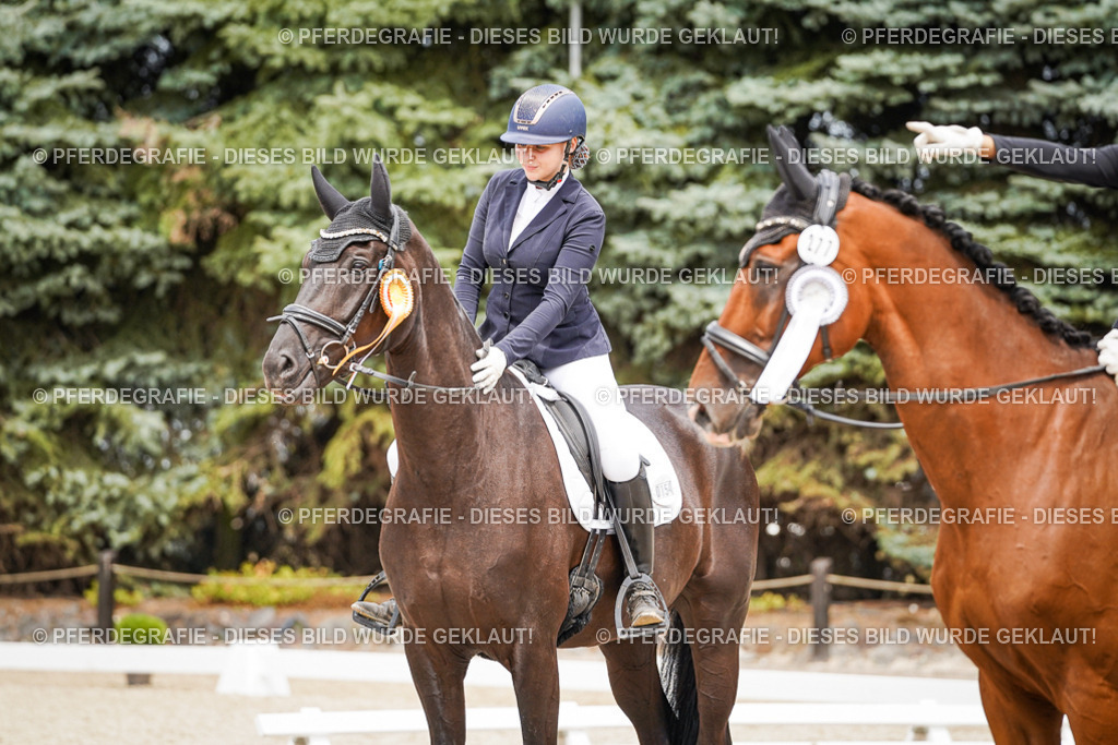 DSC04542 | Pferdegrafie