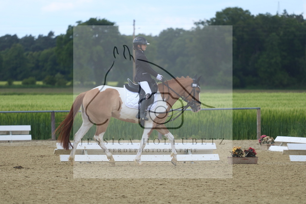 IMG_3662 | jessicahollubetz_pferdephotographie - Realisiert mit Pictrs.com