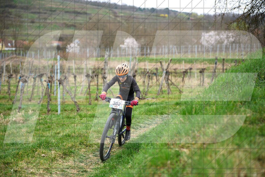 34. KTM Kamptal Trophy  | ZÖBING, Österreich – 2026-03-28: 34. KTM Kamptal TrophyFoto: © 2026 Martin Bihounek - MB Creative e.U.