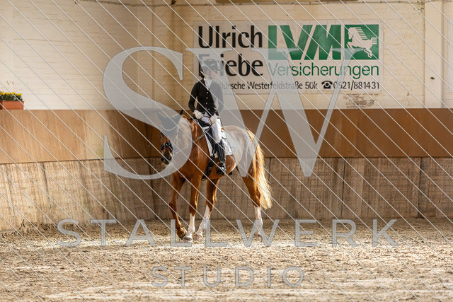 2L2A1580 | stallwerkstudio - Realisiert mit Pictrs.com