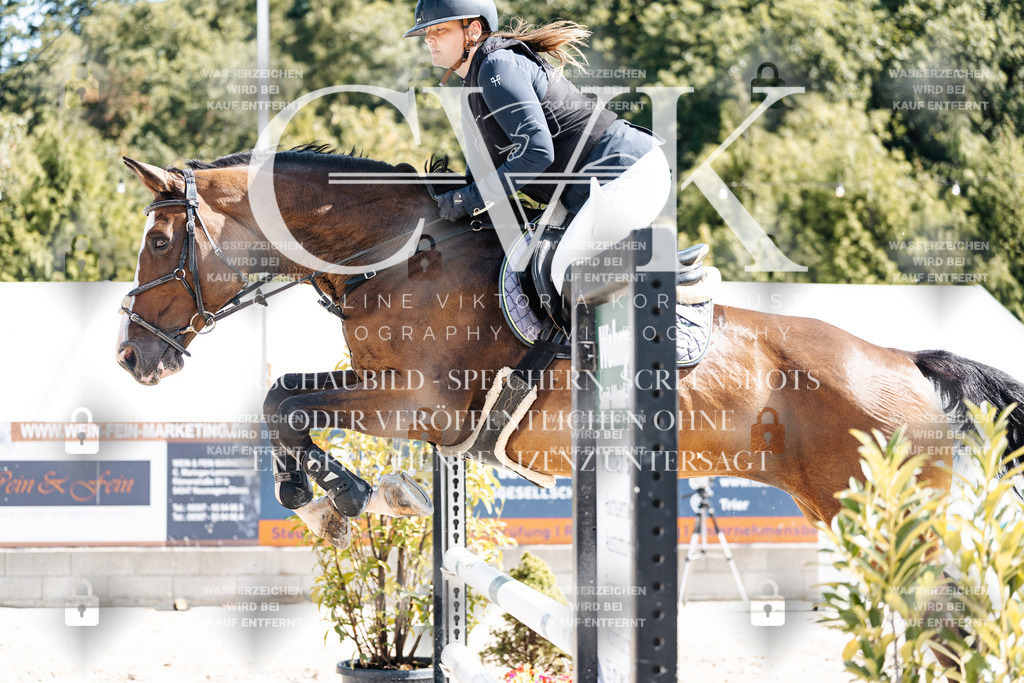 CK908861 | Turnierfotografie Pferdefotografie Trier Rheinland-Pfalz Pferdesport Reitsport Tierfotografie Sportfotografie Pferdevideo Pferdevideografie Equestrianvideography equestrianphotography  - Realisiert mit Pictrs.com