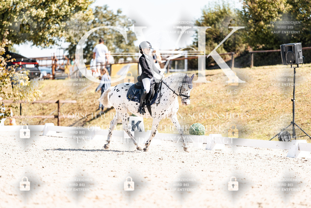 CK904182 | Turnierfotografie Pferdefotografie Trier Rheinland-Pfalz Pferdesport Reitsport Tierfotografie Sportfotografie Pferdevideo Pferdevideografie Equestrianvideography equestrianphotography  - Realisiert mit Pictrs.com