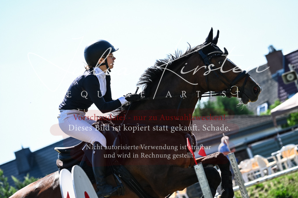 DSC_1538 | Pferde- und Turnierfotografie in Westsachsen. Pferdeportraits, Auftragszeichnungen und intuitive Kunst.