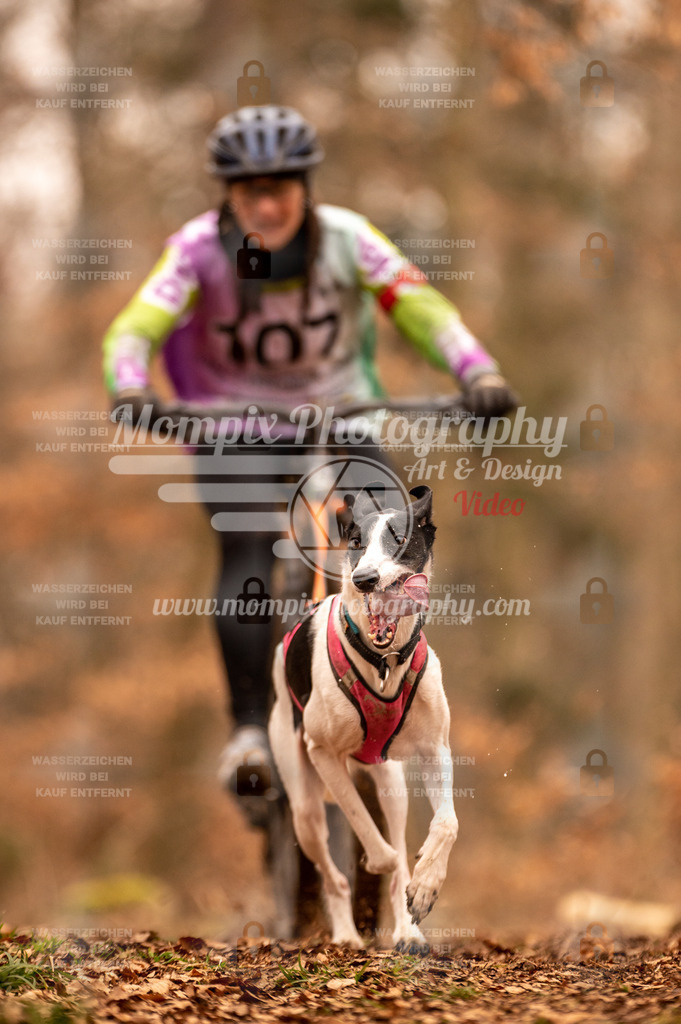 AKM_ST_2023_SAM_Bike-114 | PayLife