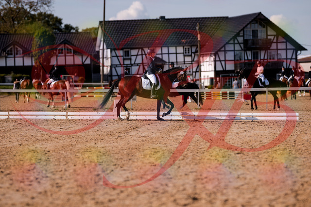 2026_10_03_Siefer-Hof_125815_Z81_47946935 | Professionelle Reitsport-, Turnier- und Eventfotografie von Robert Broda. Galerien mit ausgewählten und bearbeiteten Bildern direkt online ansehen und bestellen.