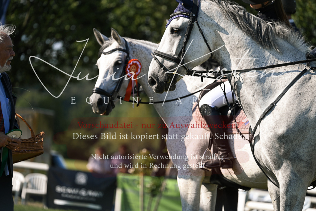 DSC_1540 | Pferde- und Turnierfotografie in Westsachsen. Pferdeportraits, Auftragszeichnungen und intuitive Kunst.