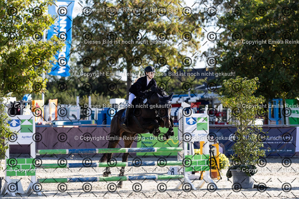 CL5A1219 | Emilia Reinking Fotografie - Realisiert mit Pictrs.com