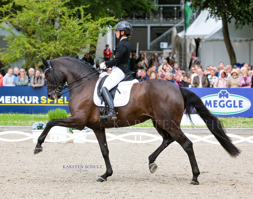 1B3A8132 | Reitsport Reiten