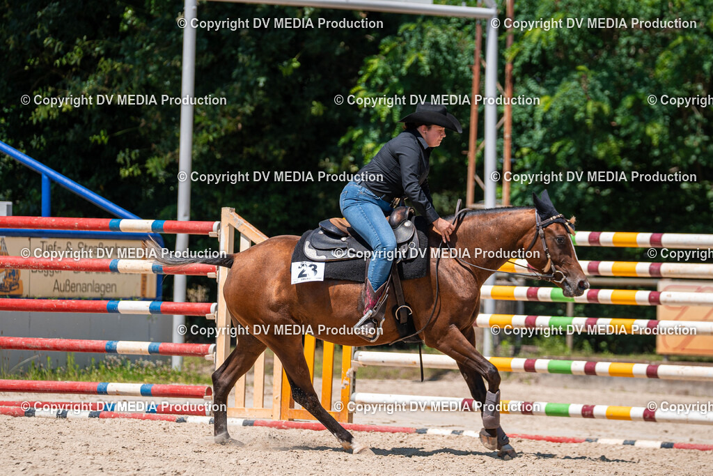 Zeiskam Tag 1-526 | dv-media-shop - Realisiert mit Pictrs.com