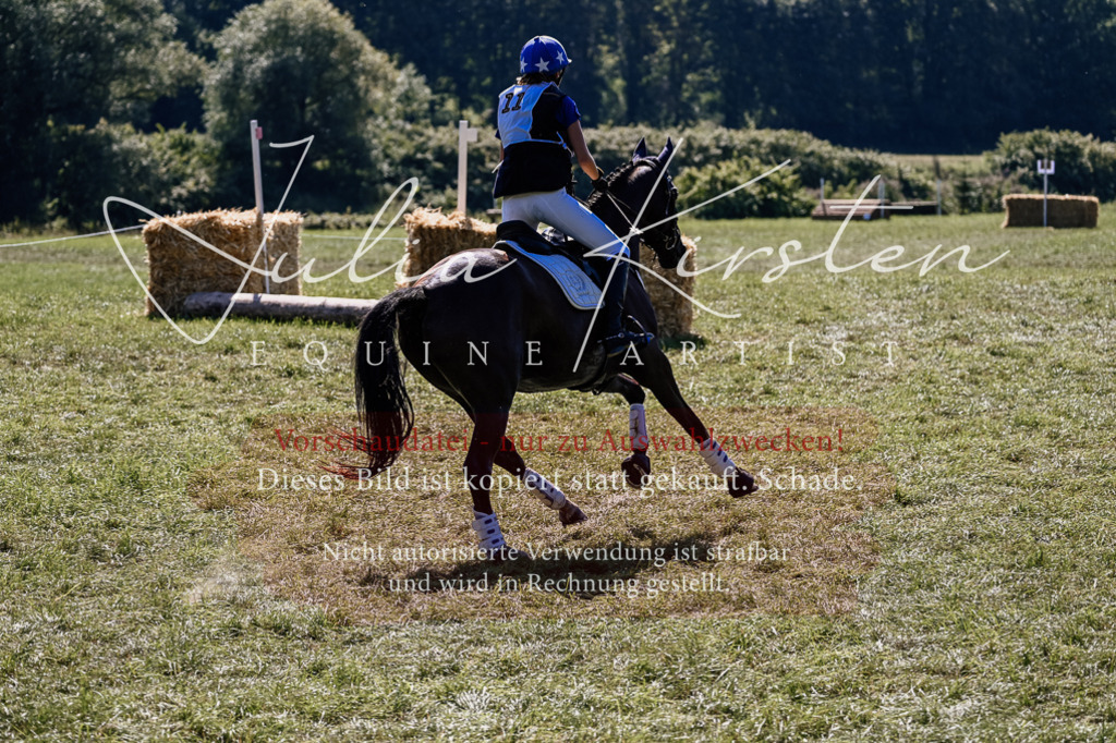 DSC_1711 | Pferde- und Turnierfotografie in Westsachsen. Pferdeportraits, Auftragszeichnungen und intuitive Kunst.