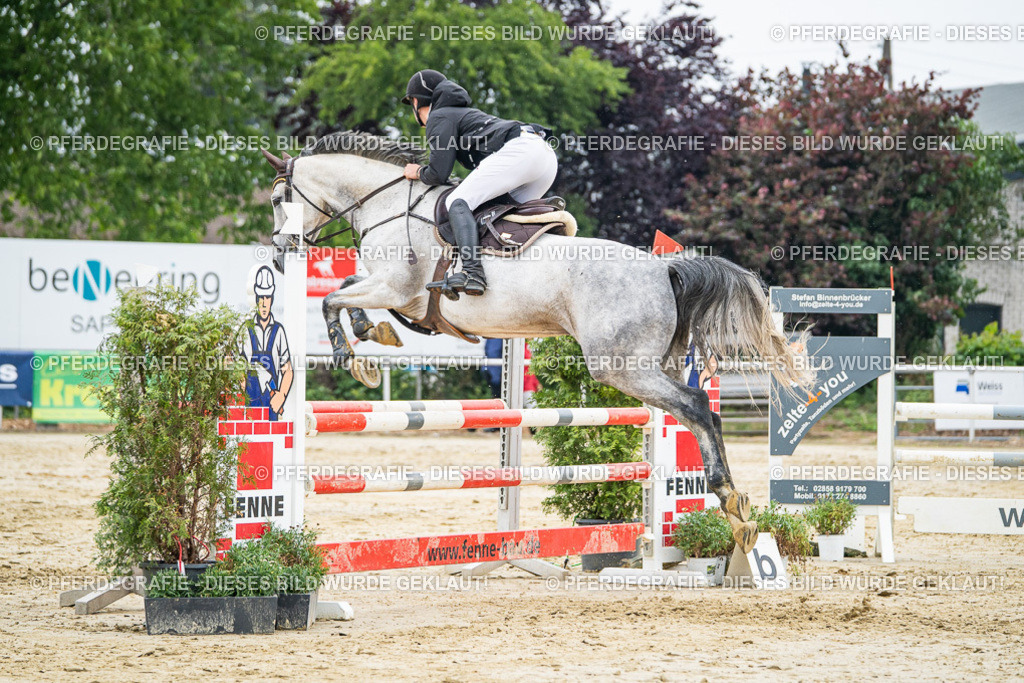 DSC00516 | Pferdegrafie